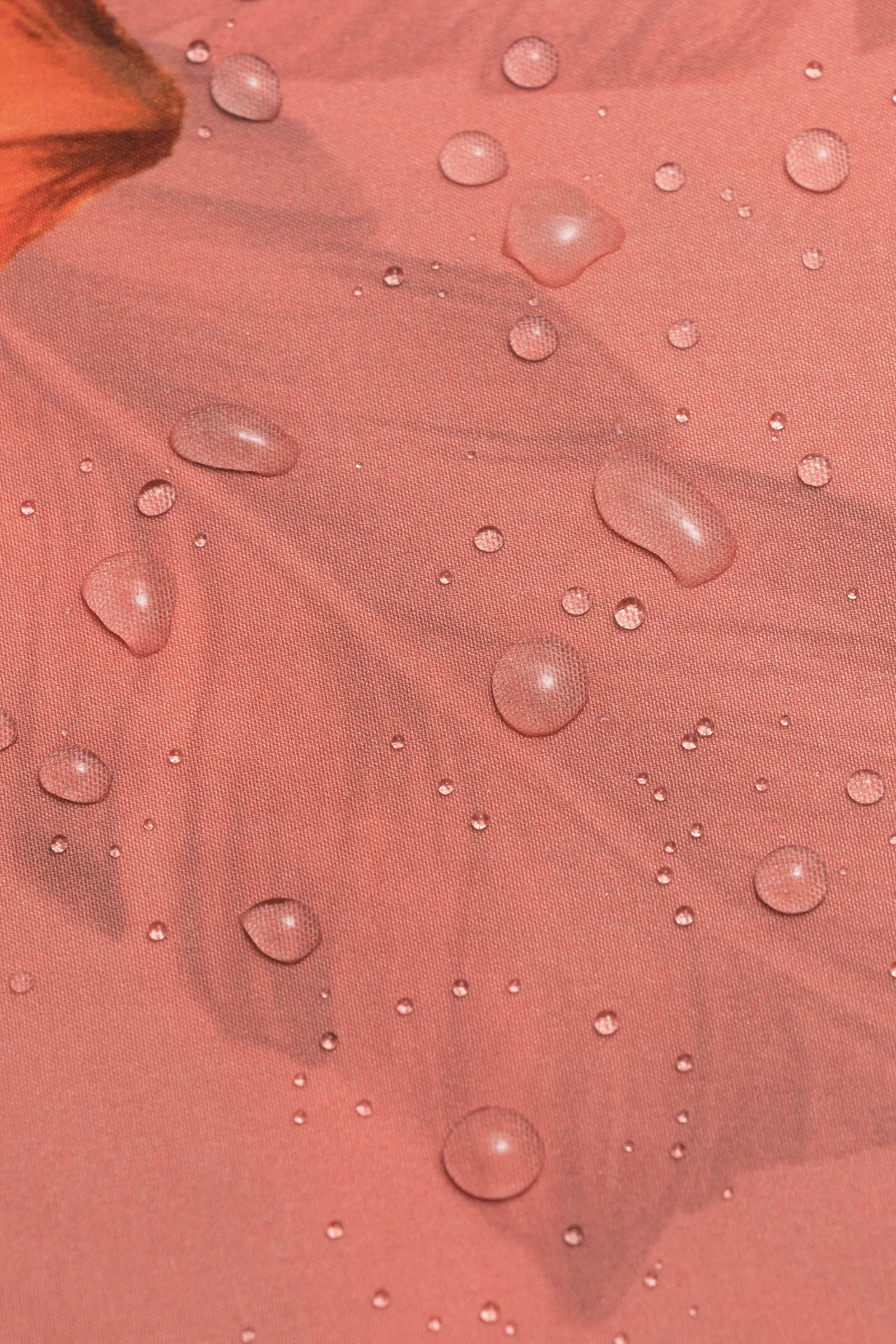 Fruta Bomba Crop Top - Image 4